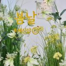 세신샵 봄날 이미지