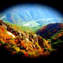 향산초등학교 이미지