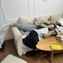 정문임약국 | 도마도 되기 대작전