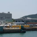 완도읍-5 Daum카페