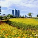 낙동강관리본부 화명생태공원 3 이미지