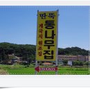 백년정성