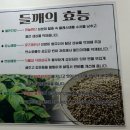 메밀가 이미지
