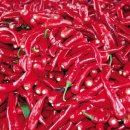 경북농장 이미지