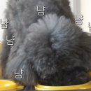 까비