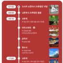 교토 to 오사카 드롭 가능 유일 교토투어 니코니코투어 슈짱🚐