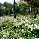 산청 동의보감촌 이미지