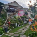 마인하임 이미지