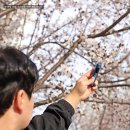 GS25 세류하이퍼 | 글로 하이퍼 프로, 편의점 전자담배 선물 추천 하는 이유
