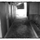 성석초등학교 이미지