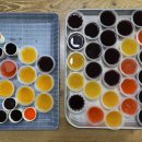 (주)제이에스바이오 이미지