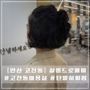씨유 고잔이편한점 | [살롱드로웰미 안산고잔점] 현실장님 손질편한 히피펌 후기