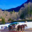 퓌센 | 🇩🇪 퓌센 당일치기 여행 | 노이슈반슈타인 성 예약 및 이동 방법, 내부 관람 후기, 퓌센 맛집 추천