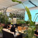 증산보건진료소앞 이미지