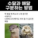 구이구이쪽갈비충북