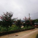 보림민박