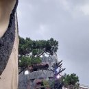 용신23 Daum카페