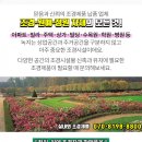 리오텔 이미지
