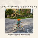 11620-5-14-2 | 아이 첫 자전거 고민 끝! 로얄베이비 문클래식5 14인치 2년 사용 후기