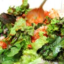 덮밥좋은날 이미지