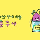 243 이미지