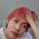 TEAM WILD WOLF | 앤팀으로 시작한 6월 위버스콘, ABT 보고 궁전 간 후기