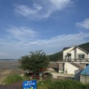 ⛳️ 태안 골든베이cc 인근 로컬맛집 정산포바닷가 갈낙찜 후기