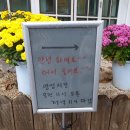 금오산민물장어 이미지