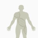 푸른솔한의원 이미지