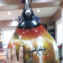 제이아쿠아짐 이미지