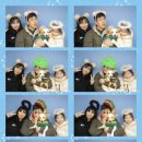 봄이네 애견 이미지