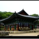 여수옆골 Daum카페