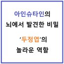 아인슈타인의 뇌에서 발견한 비밀, ‘두정엽’의 놀라운 역할 이미지