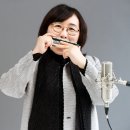 하모니카 (고급) 이미지