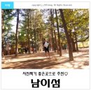 알라딘호 | [서울근교 당일치기 여행] 남이섬 나들이, 메타세콰이어길 예뻐요♡
