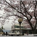 3대 원조 할매추어탕 이미지