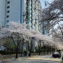 한가람로 이미지