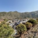 벌곡(대전) 이미지