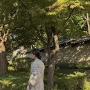 많았던 톤온톤 인간 베이지룩🤎(매넌 베셋 트렌치 코트/세비 캐시미어 모크넥 니트/슬라브 코튼 맥시스커트)
