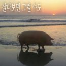 하김 이미지