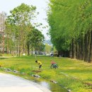 경의선숲길 이미지