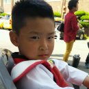 민족사관태권도 이미지