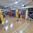 평촌 권투체육관 이미지