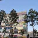 남양DNA점핑&힐링