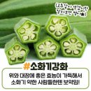 오크라 - 서귀포시 번영로 3189 | 오크라