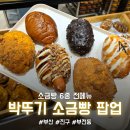 가미떡방 | [서면 롯데백화점 팝업] 일요일 오픈런, 웨이팅 지옥! 소금빵 전 메뉴 찐후기 (내돈내산) "박뚜기 소금빵"