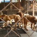 성남축사 이미지