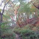 지곡(고경) Daum카페