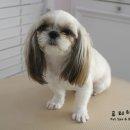 꽃님이미용실