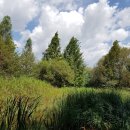 공인씨엠번역행정사 사무소 이미지